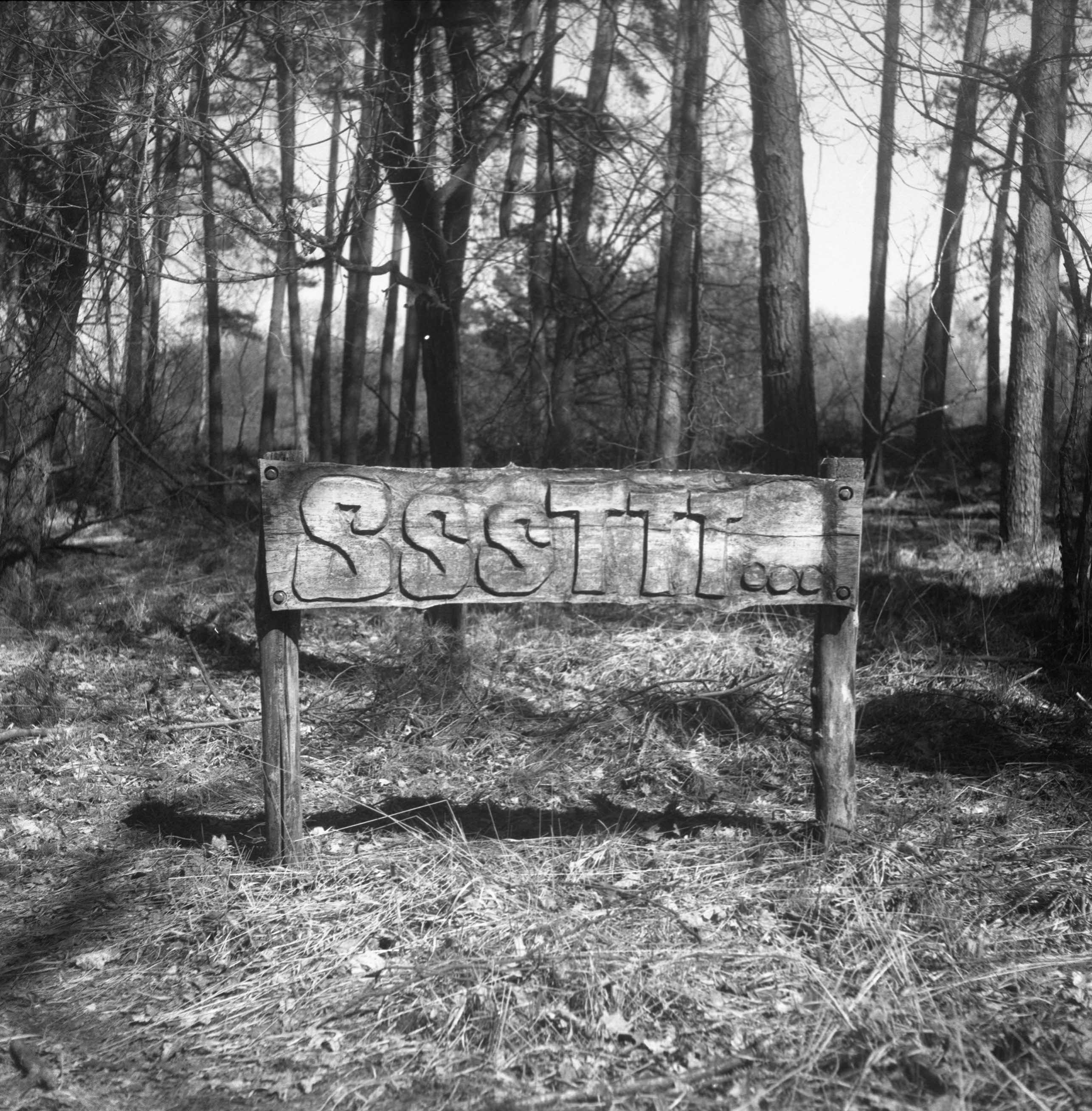 SSSTT photograph 02